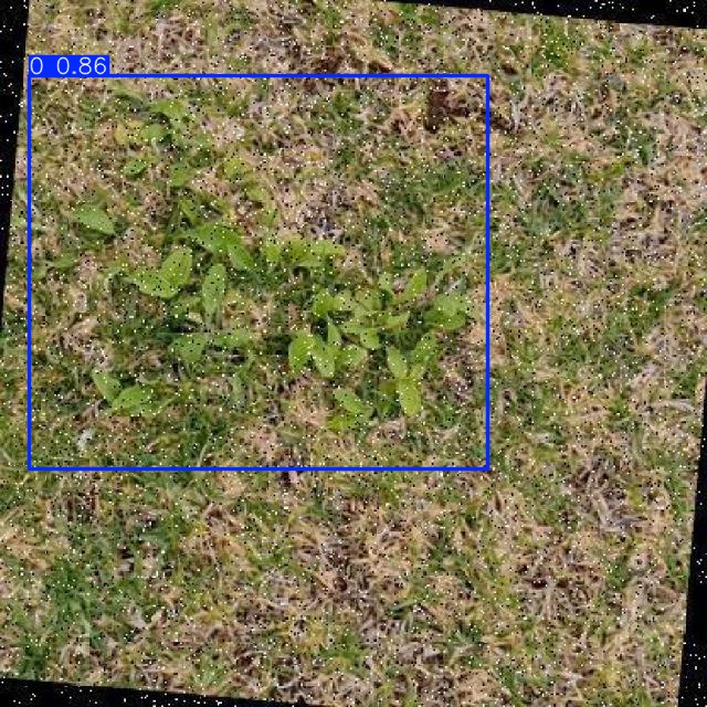 Annotated Image