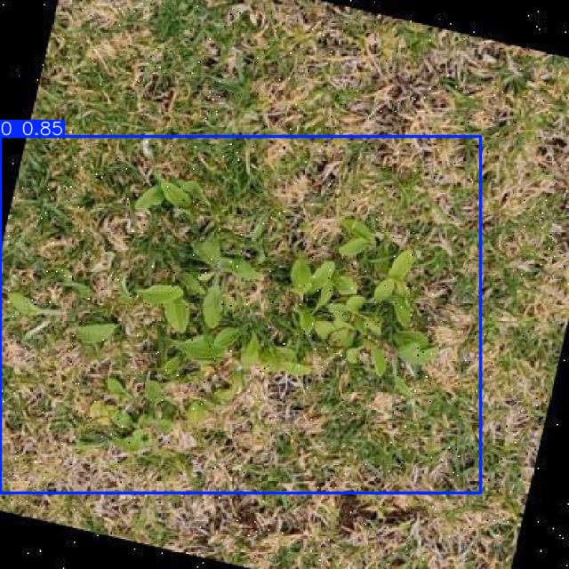 Annotated Image