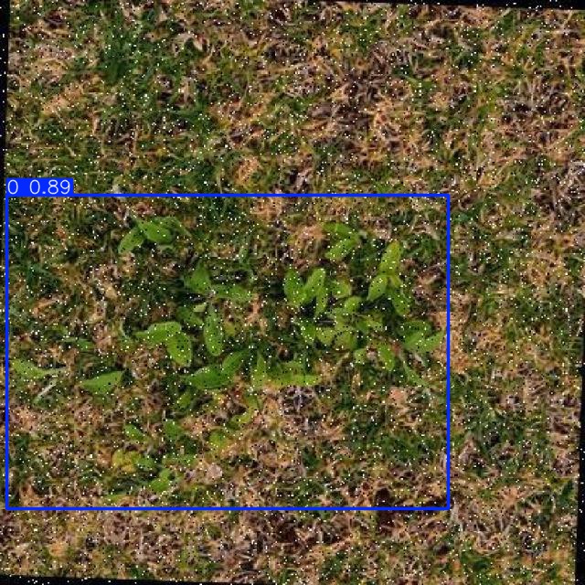 Annotated Image