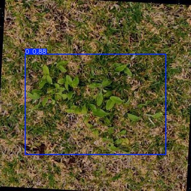 Annotated Image