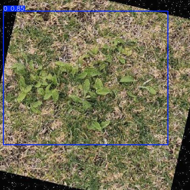 Annotated Image