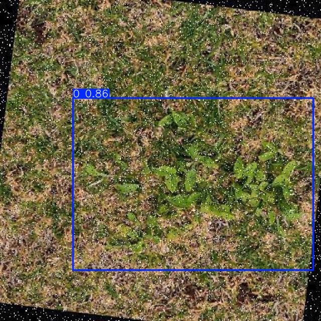 Annotated Image