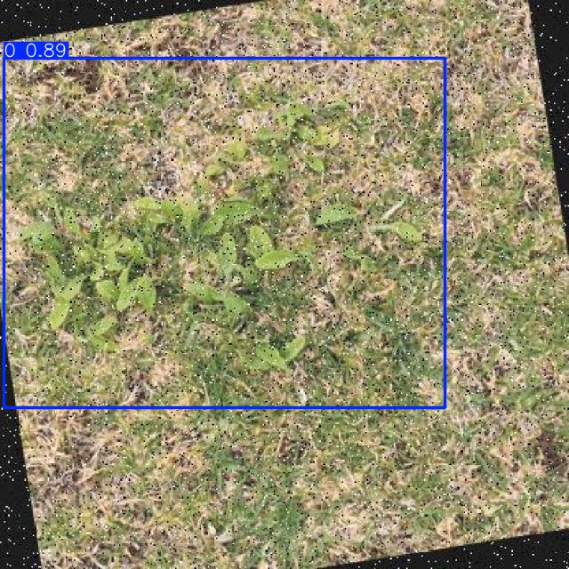 Annotated Image