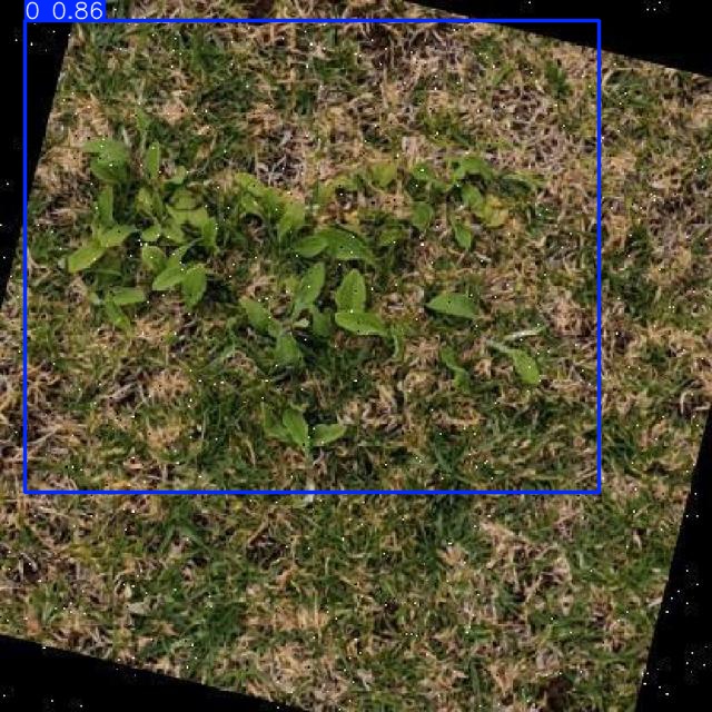 Annotated Image