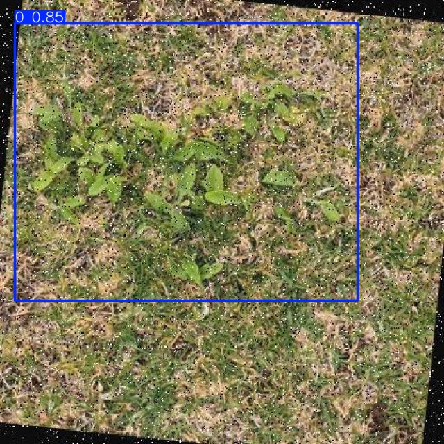Annotated Image