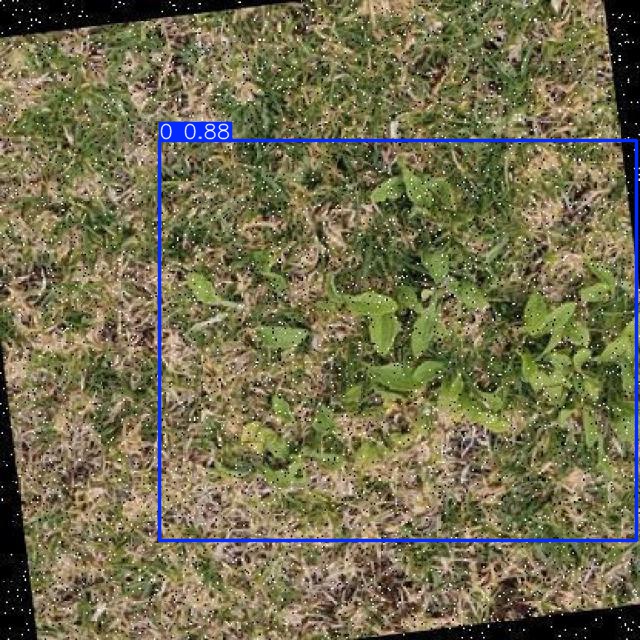 Annotated Image