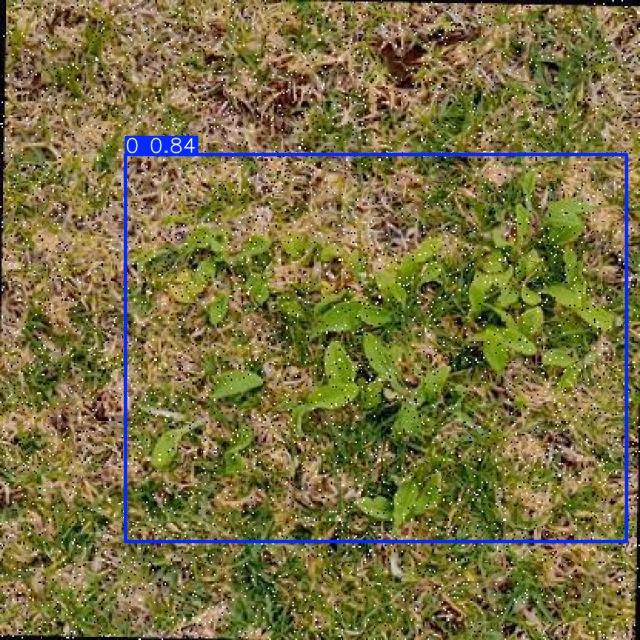 Annotated Image