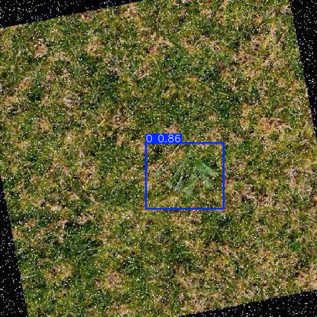 Annotated Image