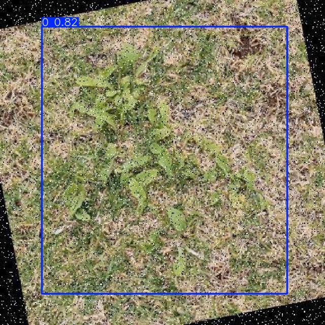 Annotated Image