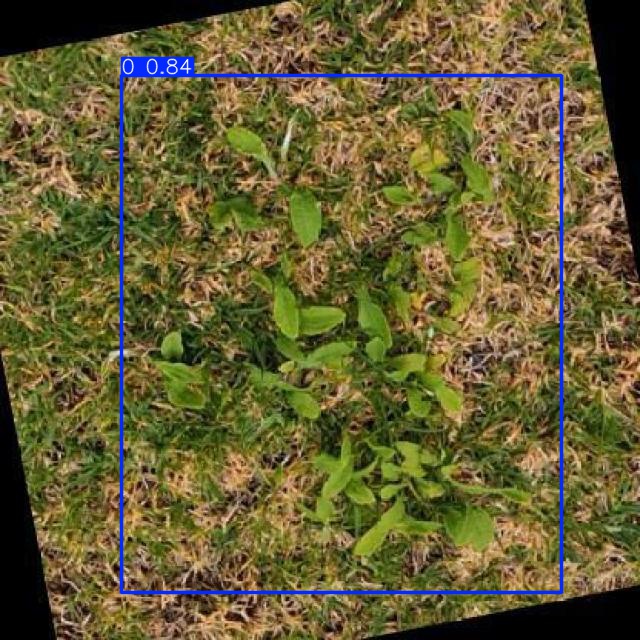 Annotated Image