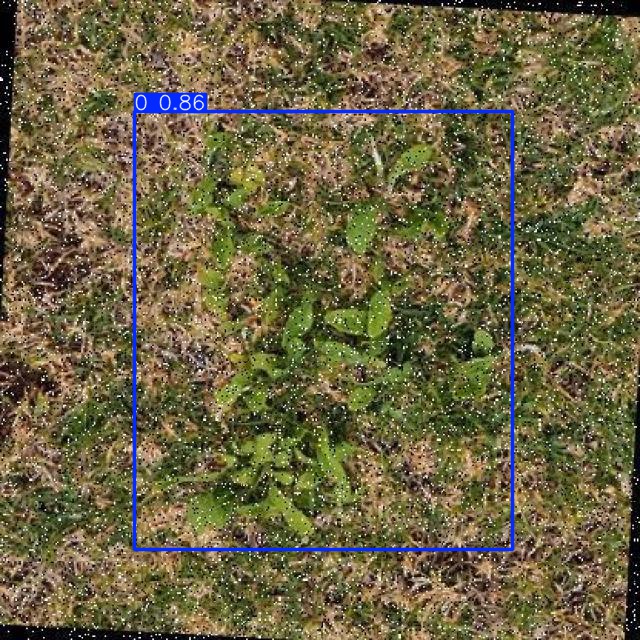 Annotated Image
