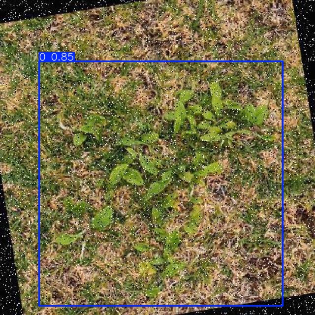 Annotated Image