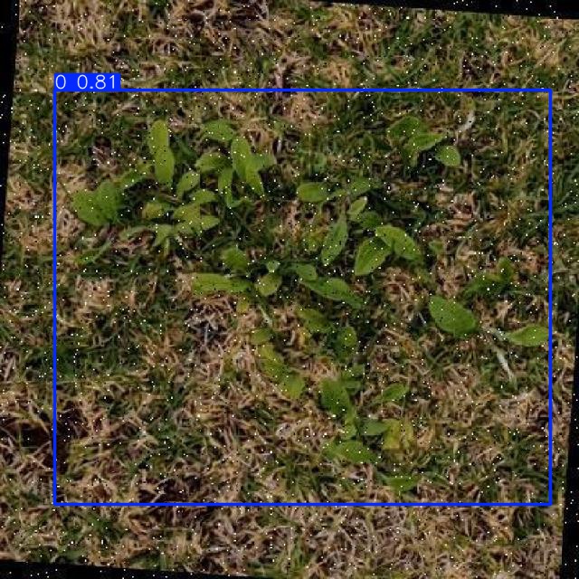 Annotated Image