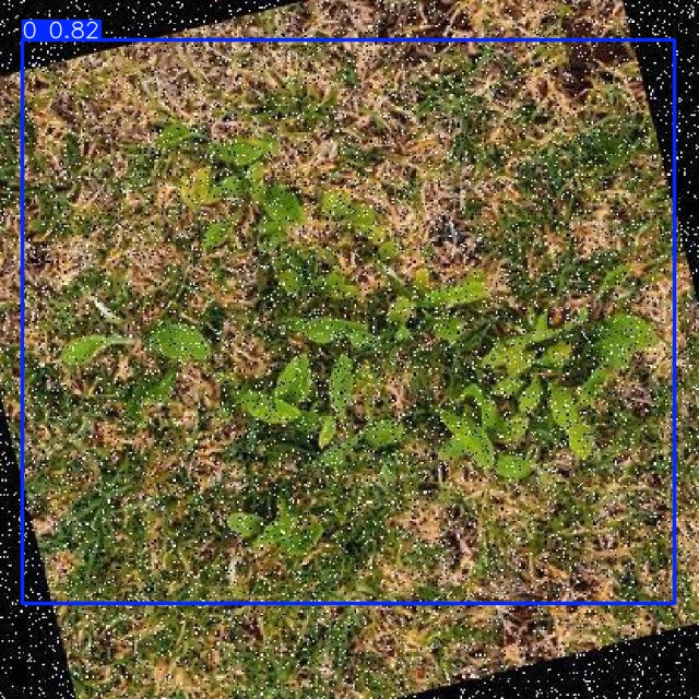 Annotated Image