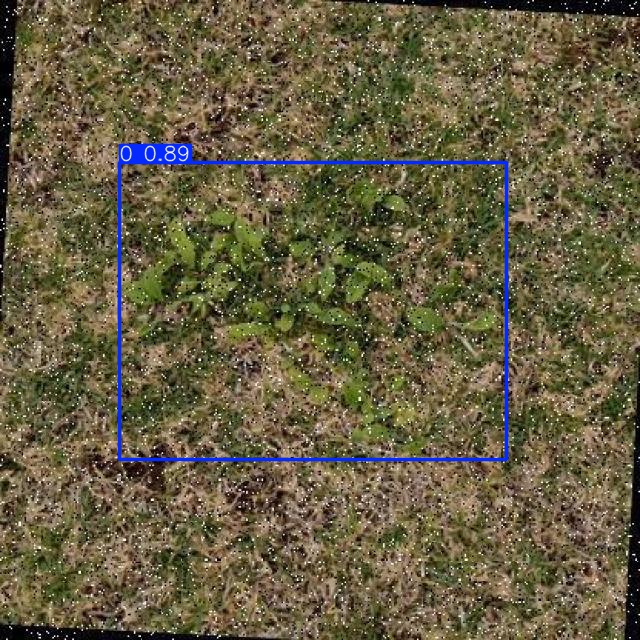 Annotated Image