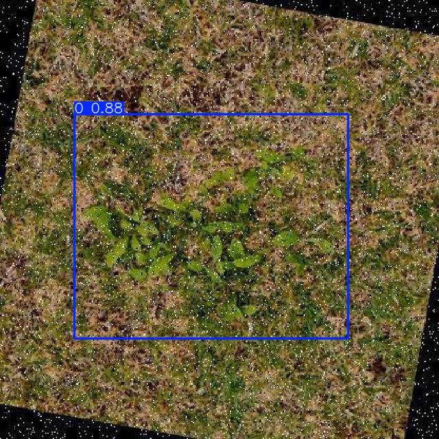 Annotated Image