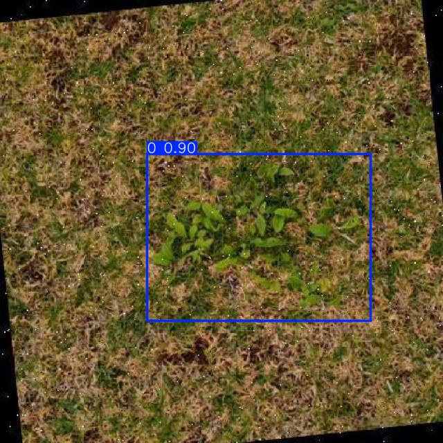 Annotated Image