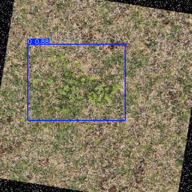 Annotated Image