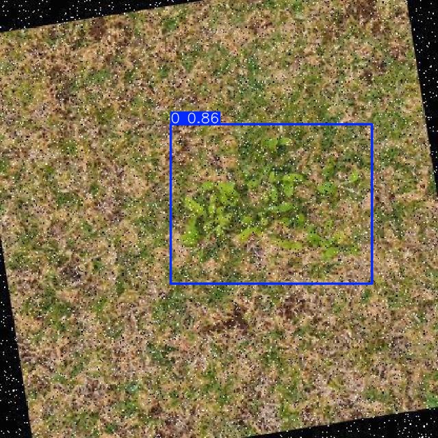 Annotated Image