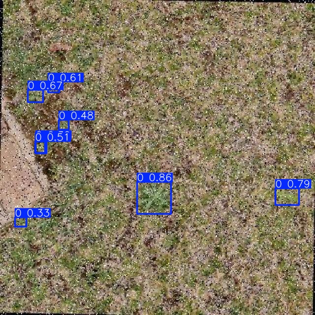 Annotated Image