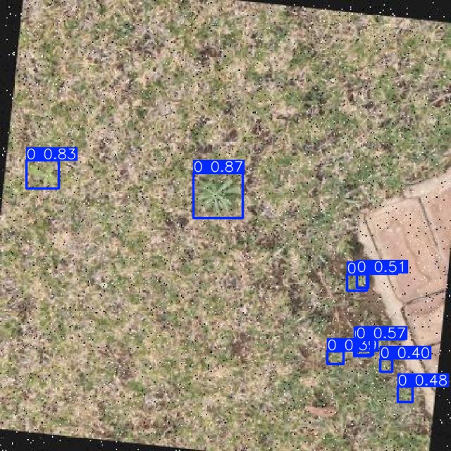 Annotated Image