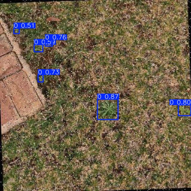 Annotated Image