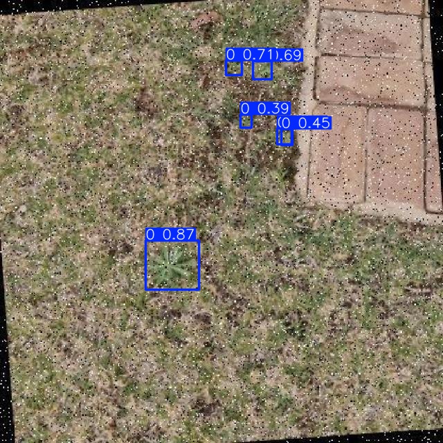 Annotated Image