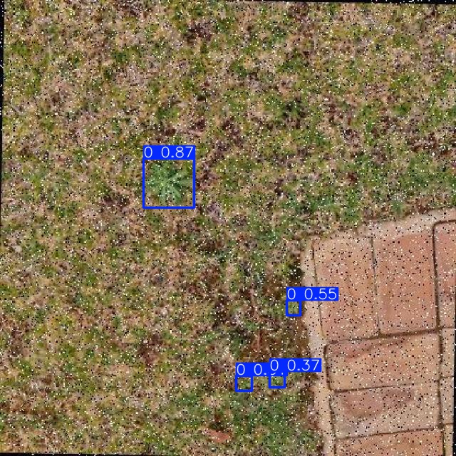 Annotated Image