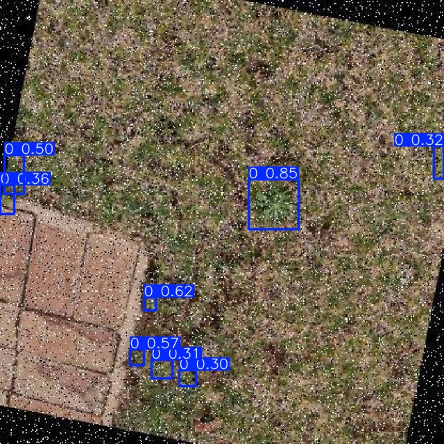 Annotated Image