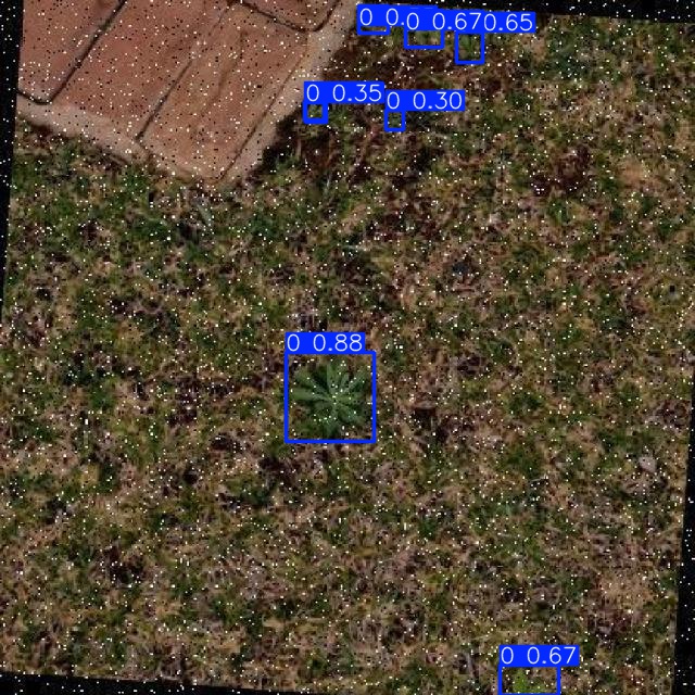Annotated Image