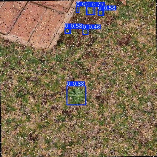 Annotated Image