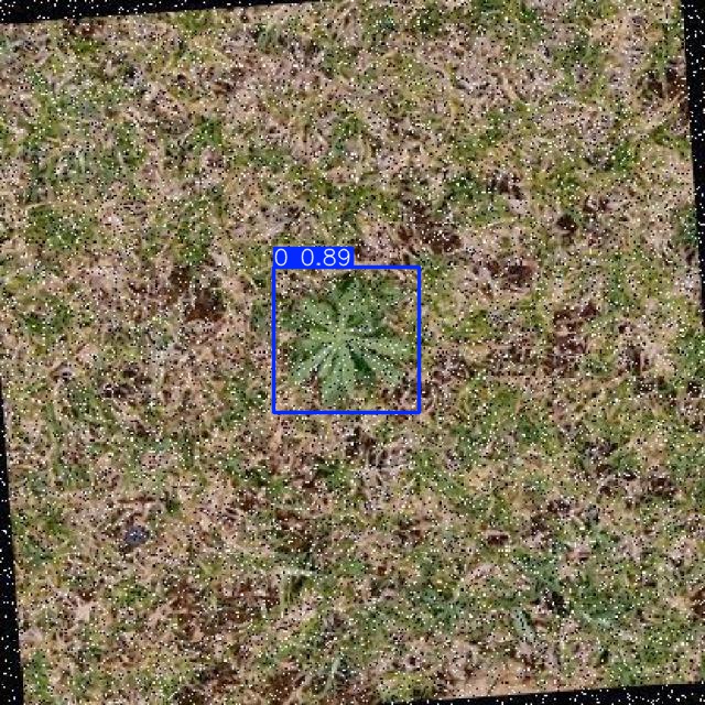 Annotated Image