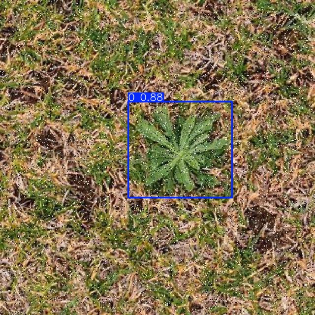Annotated Image