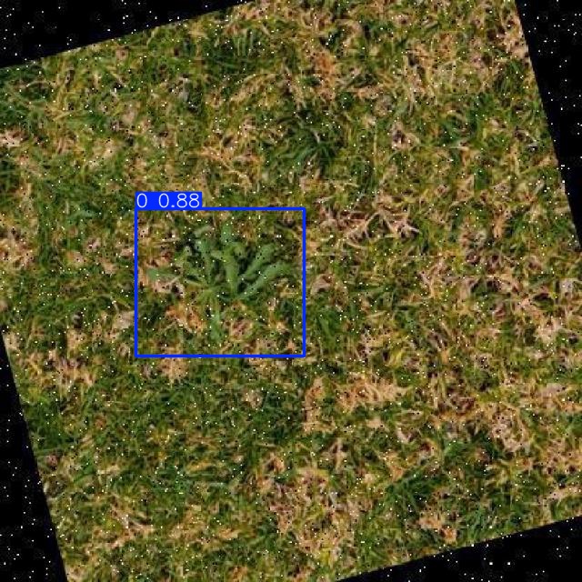 Annotated Image