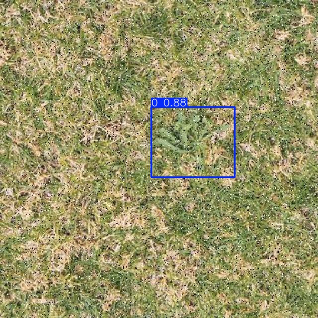 Annotated Image