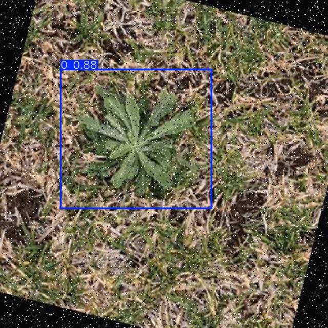 Annotated Image