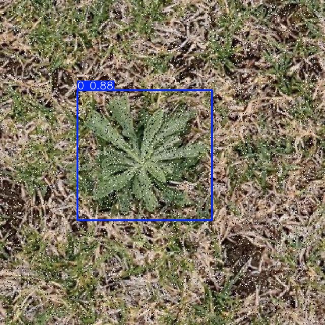 Annotated Image