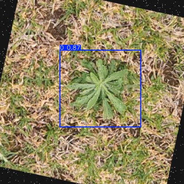 Annotated Image