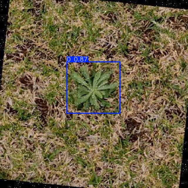 Annotated Image