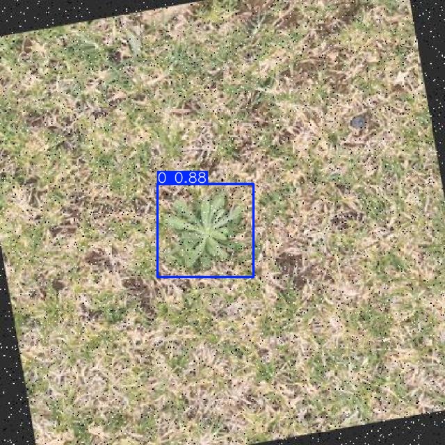 Annotated Image