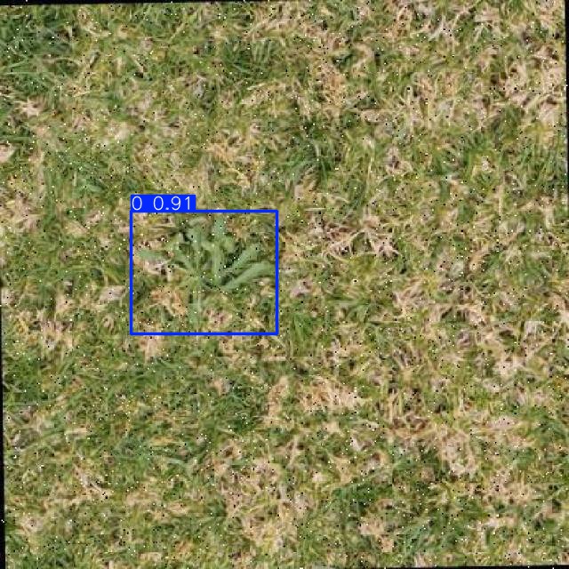 Annotated Image