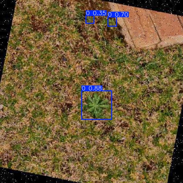 Annotated Image