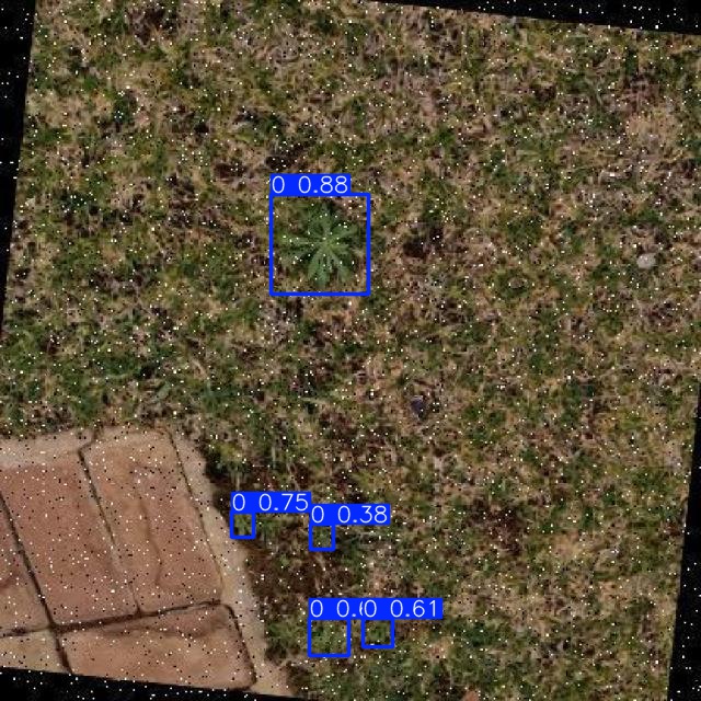 Annotated Image