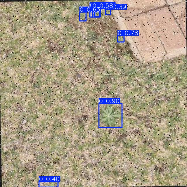 Annotated Image
