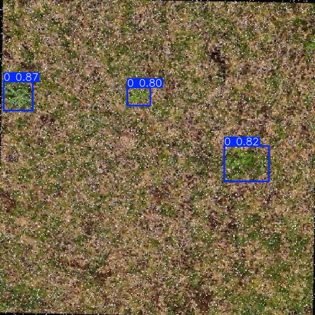 Annotated Image