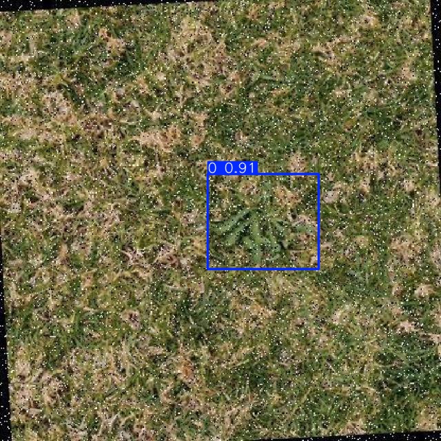 Annotated Image