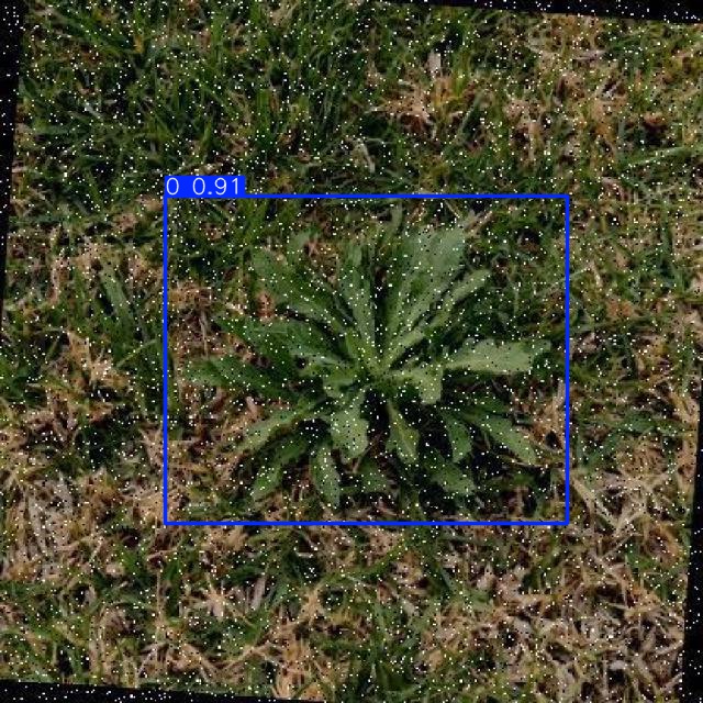 Annotated Image