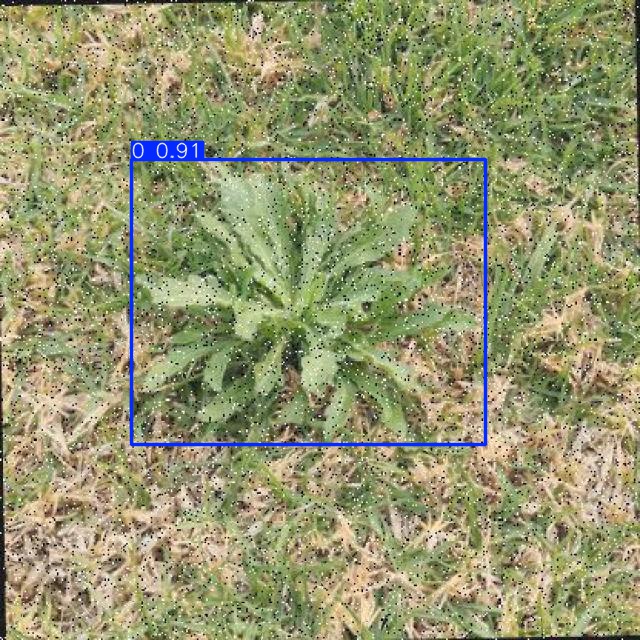 Annotated Image