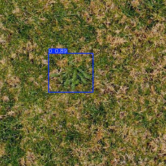 Annotated Image