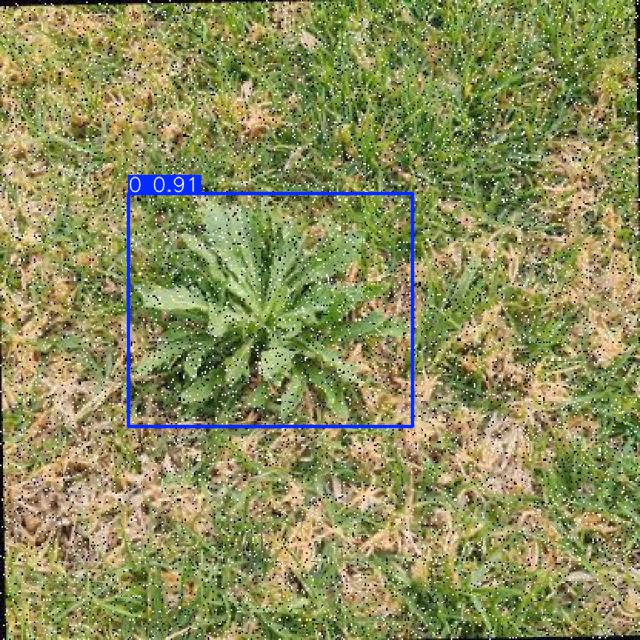 Annotated Image